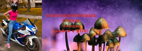 дурь Бабаево