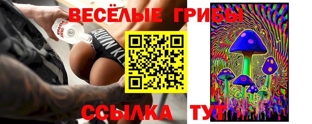 Тольятти  Галлюциногенные грибы Psilocybe  Вход с VPN  Галлюциногенные грибы ЛСД 