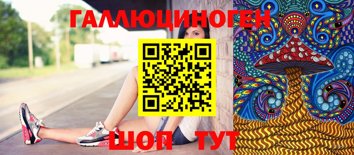 Псилоцибиновые грибы Psilocybe Тольятти