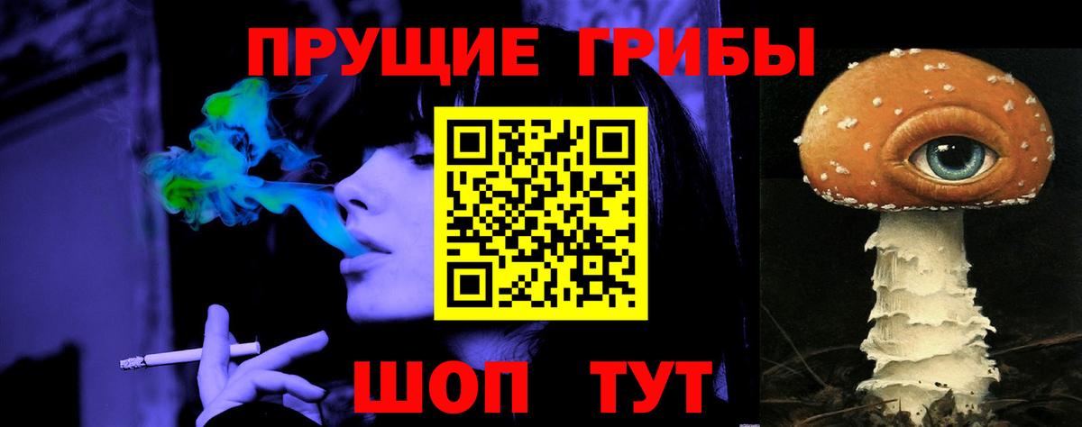 Галлюциногенные грибы Psilocybe Тольятти